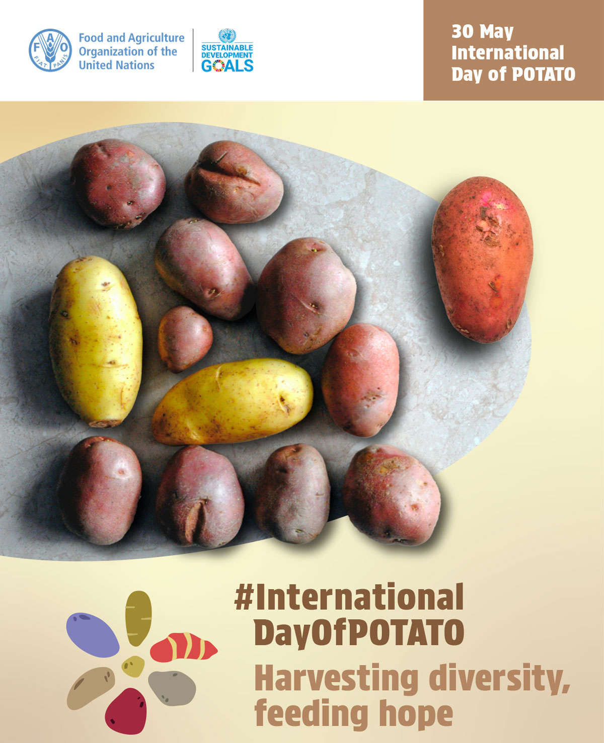 30 mei Internationale Dag van de Aardappel